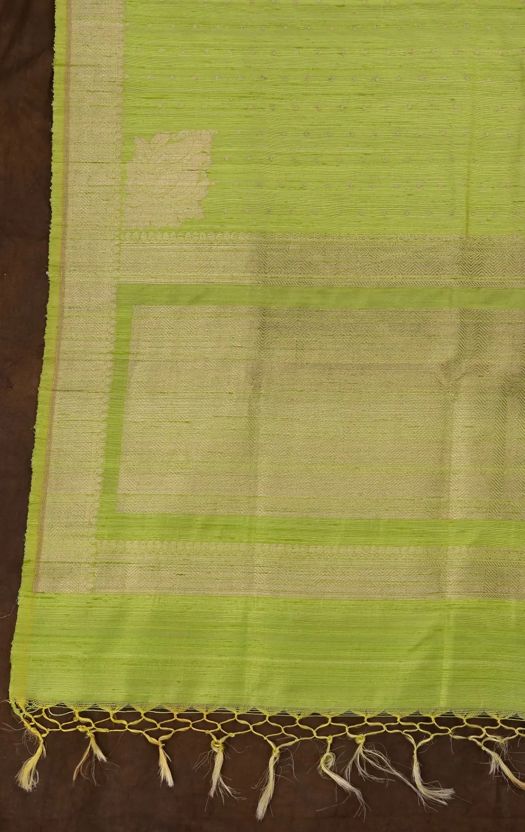 Adrika's elegant Banarasi Munga Silk Tussar Colour Unstitched 2-Piece Kurta Set"